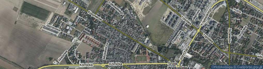 Zdjęcie satelitarne Asnyka Adama ul.